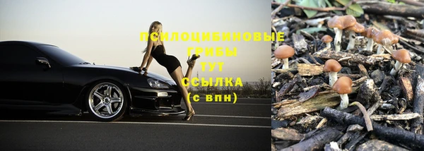 твердый Алексеевка