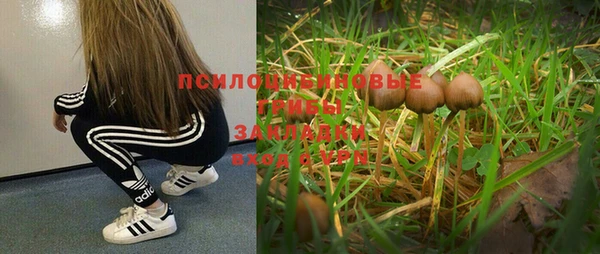 твердый Алексеевка